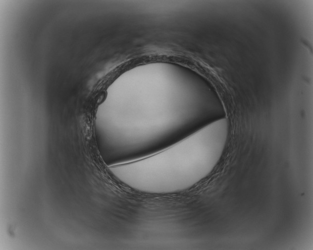 X0000100371303200806060752