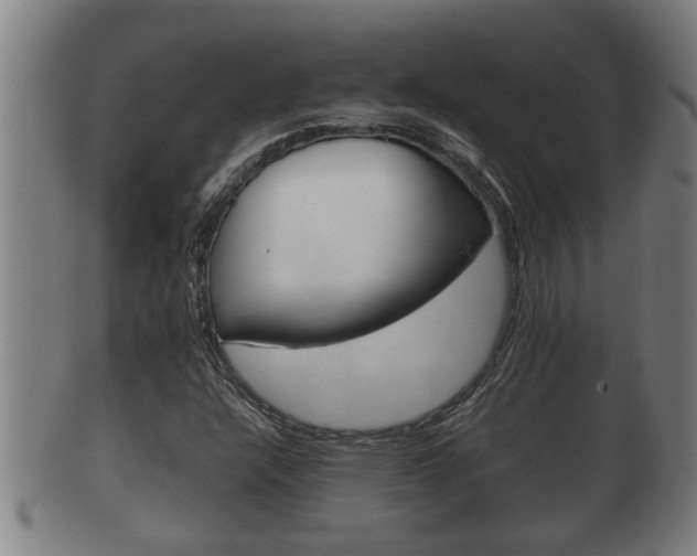 X0000100371304200806060752