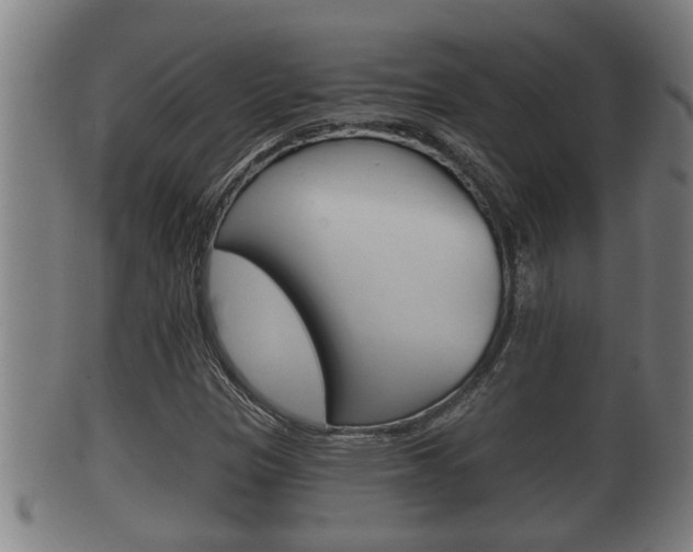 X0000100371305200806060752