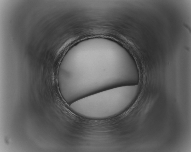 X0000100371306200806060752