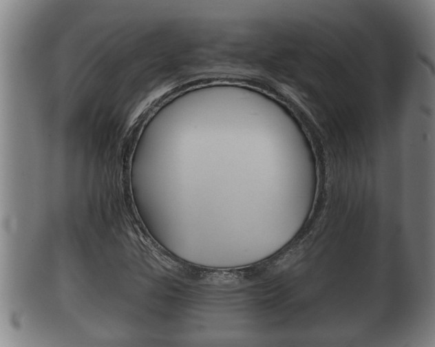 X0000100371307200806060752