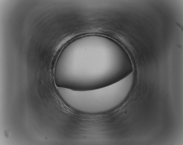 X0000100371308200806060752