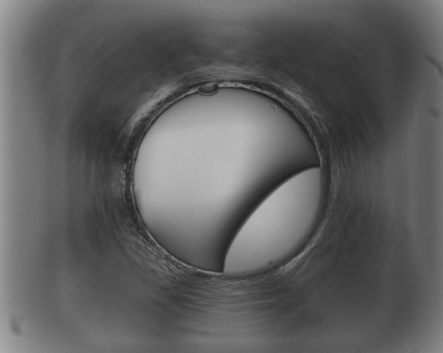 X0000100371309200806060752