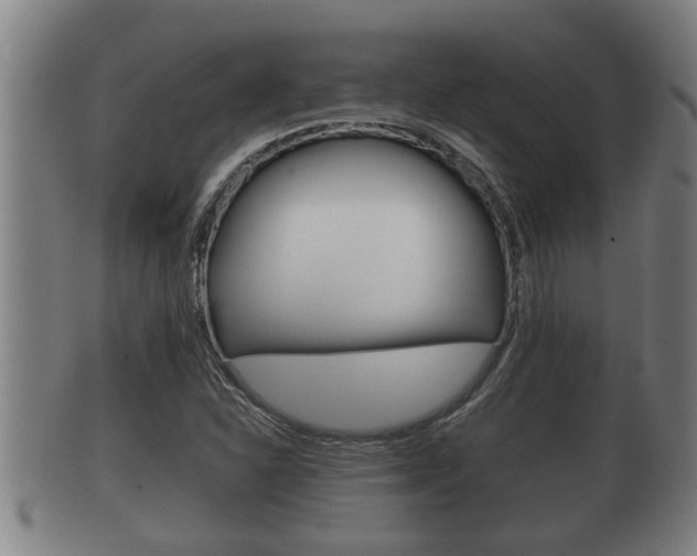 X0000100371310200806060752