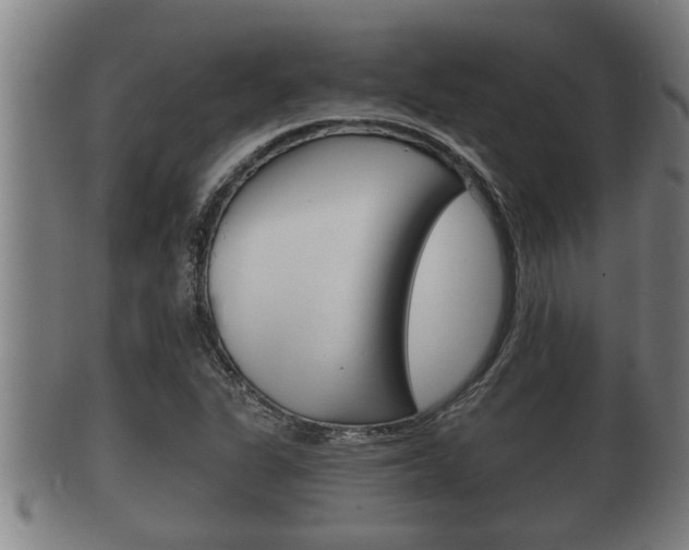 X0000100371311200806060752