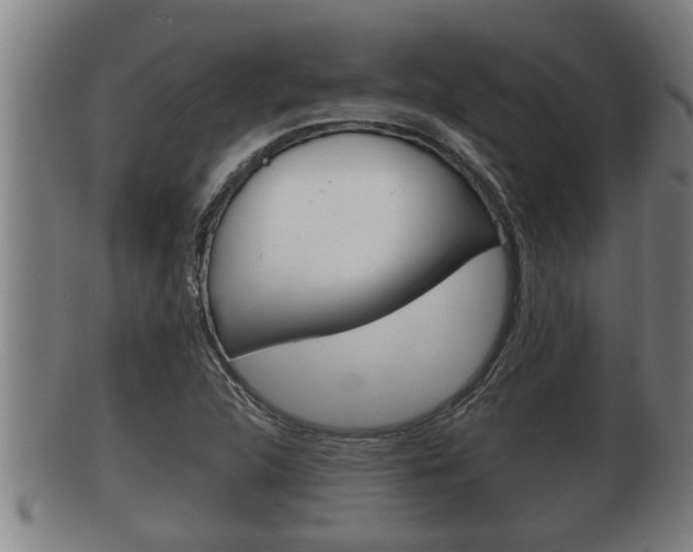 X0000100371312200806060752