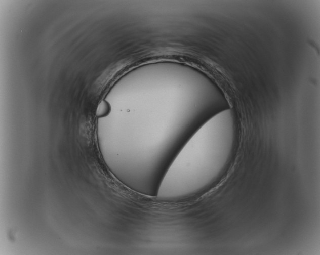 X0000100371313200806060752