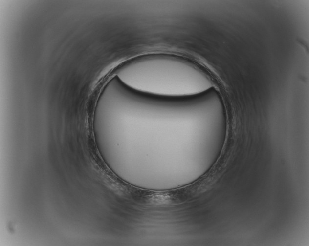 X0000100371315200806060752