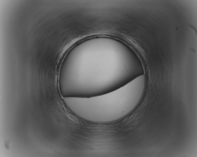 X0000100371316200806060752