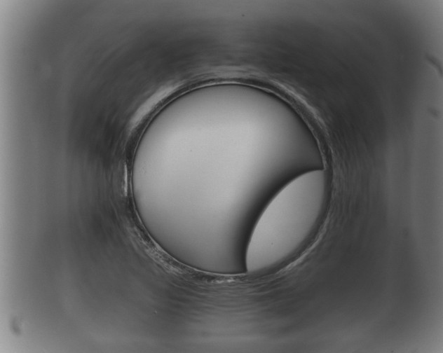 X0000100371317200806060752