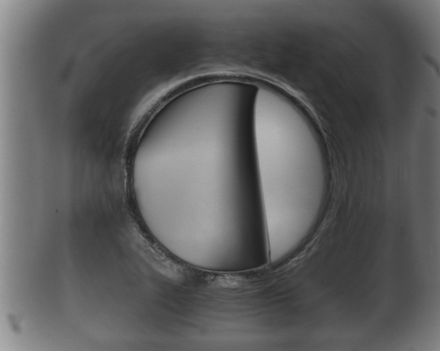 X0000100371319200806060752