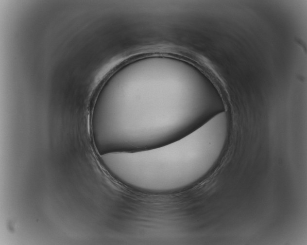 X0000100371320200806060752