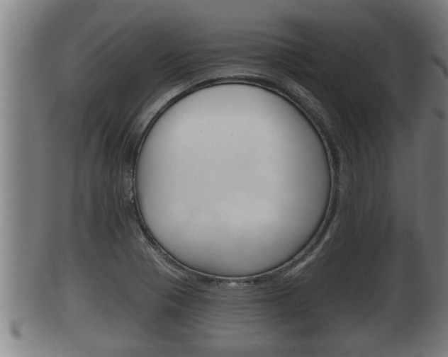 X0000100371321200806060752