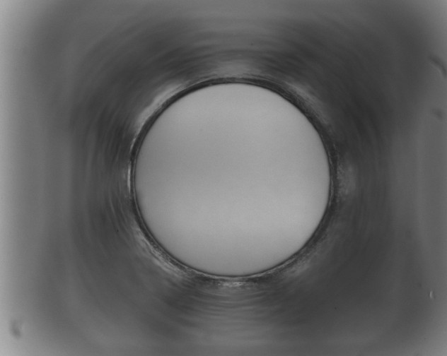 X0000100371322200806060752
