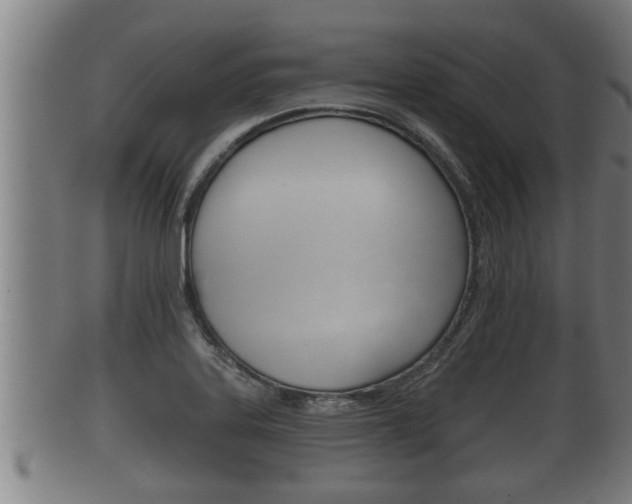 X0000100371323200806060752