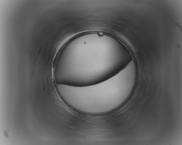 X0000100371324200806060752