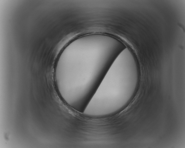 X0000100371325200806060752