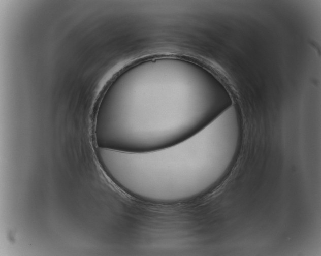 X0000100371326200806060753