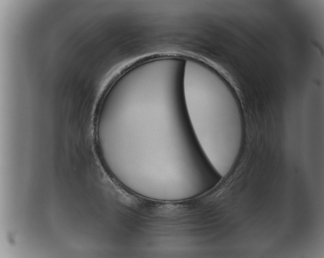 X0000100371327200806060753