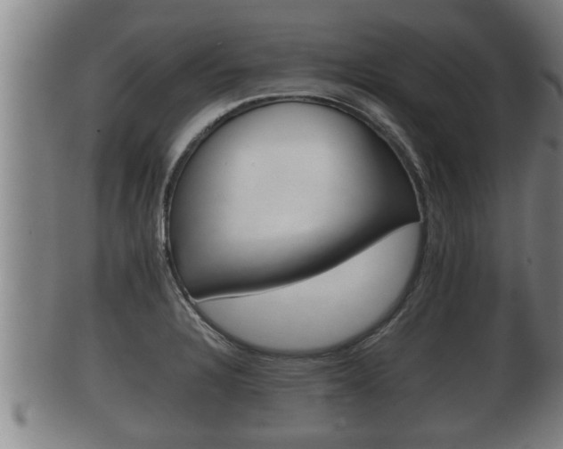 X0000100371328200806060753