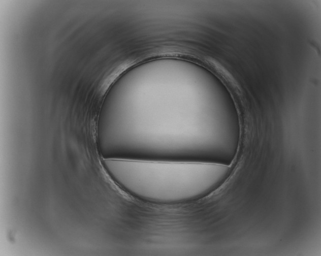 X0000100371329200806060753