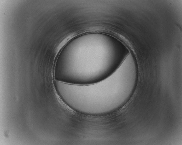 X0000100371330200806060753