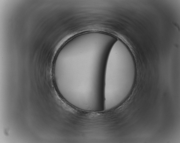 X0000100371331200806060753
