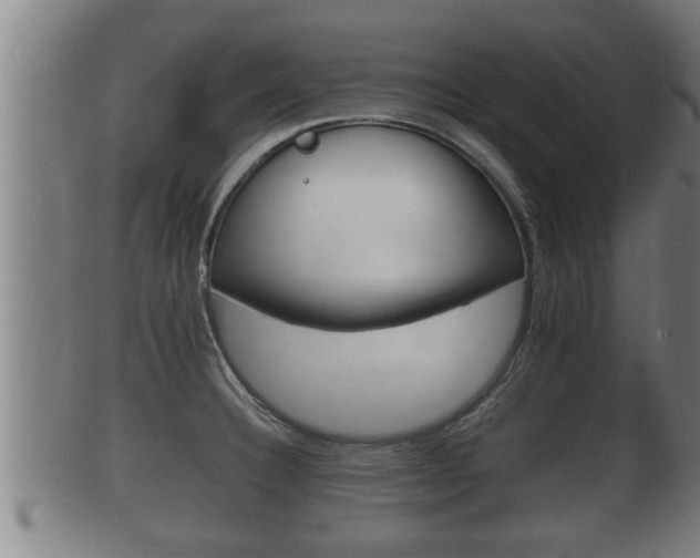 X0000100371332200806060753