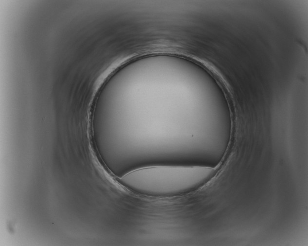 X0000100371333200806060753