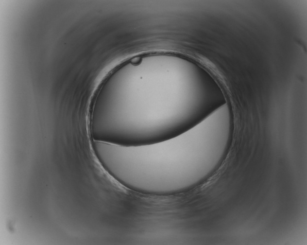 X0000100371334200806060753