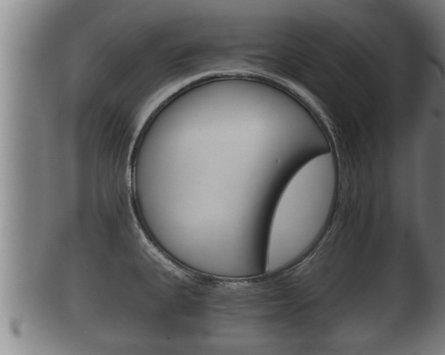 X0000100371335200806060753