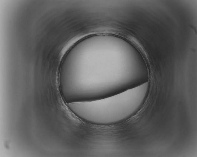 X0000100371336200806060753