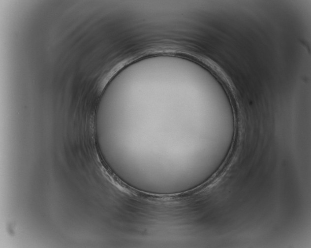 X0000100371337200806060753