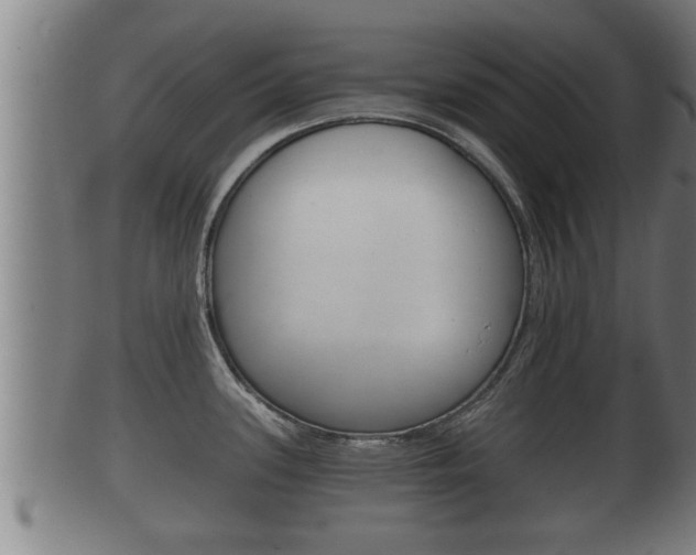 X0000100371339200806060753