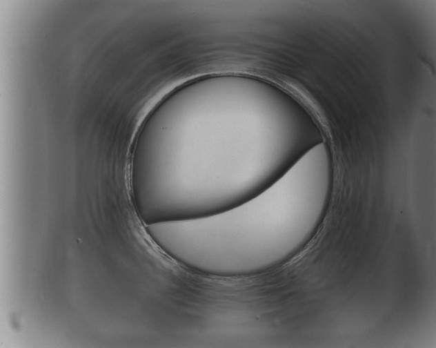 X0000100371340200806060753