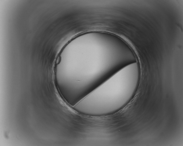 X0000100371341200806060753