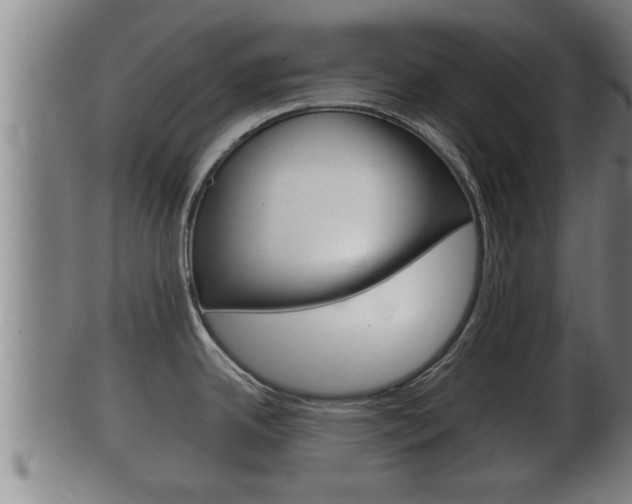 X0000100371342200806060753