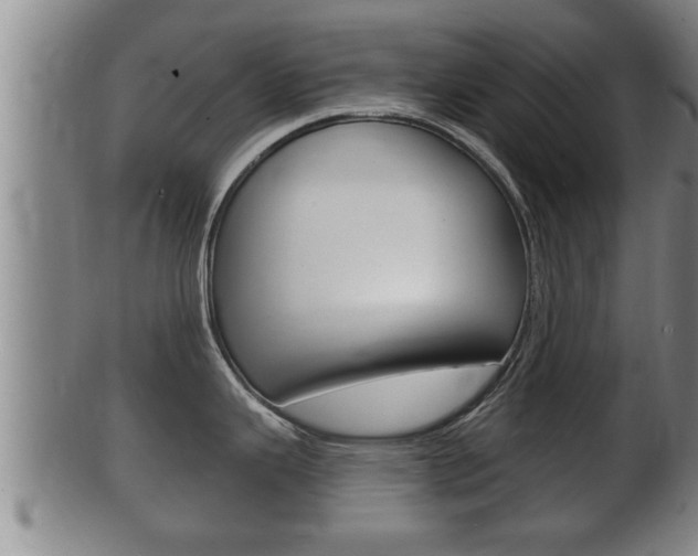 X0000100371343200806060753