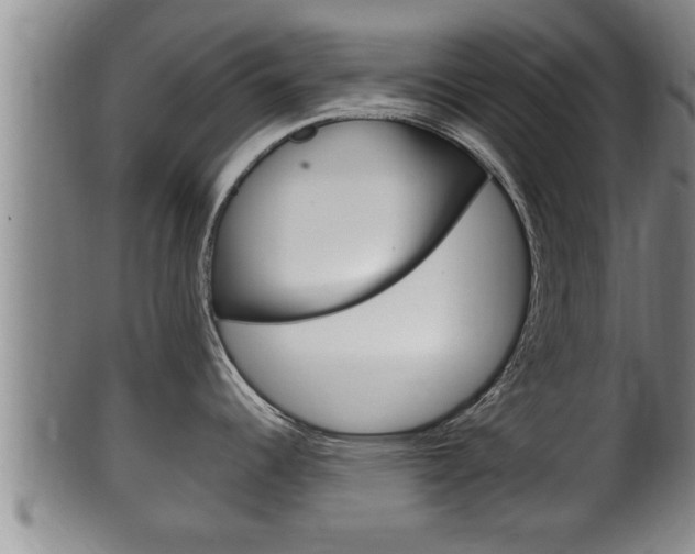 X0000100371344200806060753
