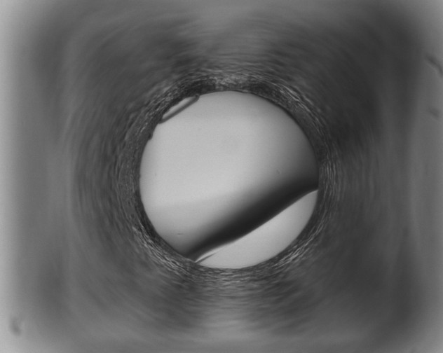 X0000100371345200806060752
