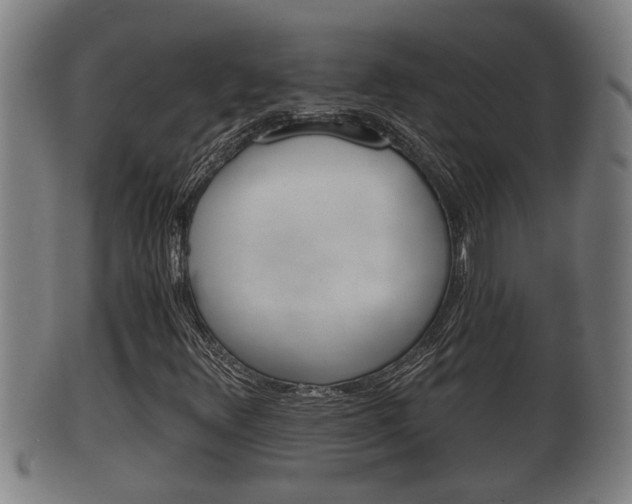 X0000100371348200806060752