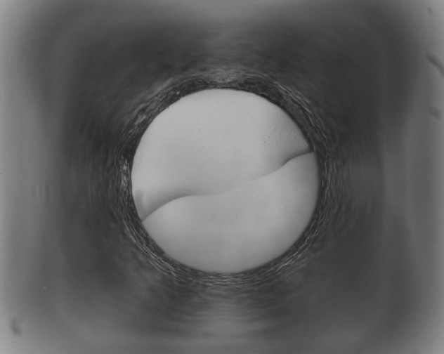 X0000100371349200806060752