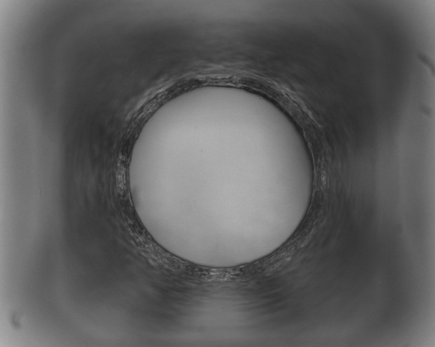 X0000100371350200806060752