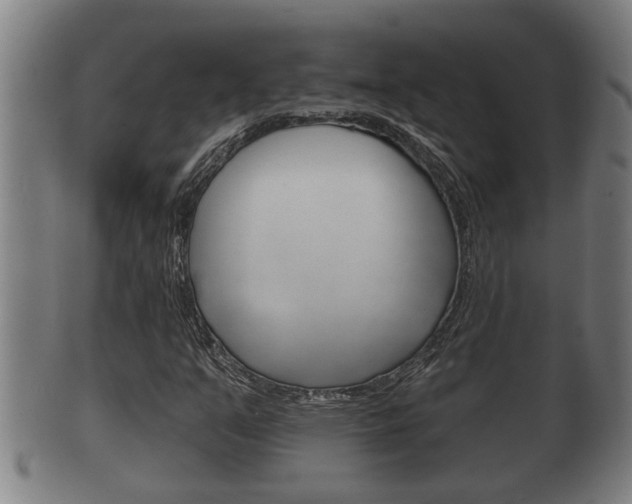 X0000100371351200806060752