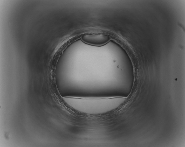 X0000100371352200806060752