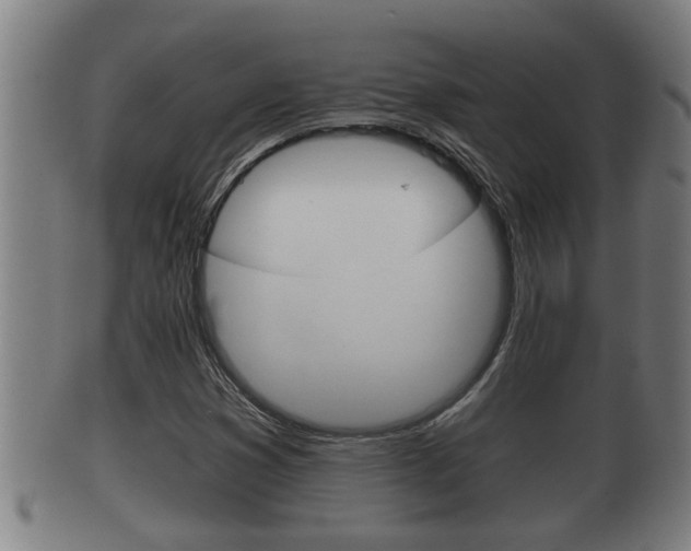 X0000100371353200806060752