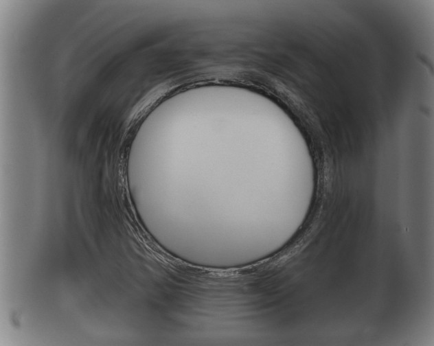 X0000100371354200806060752