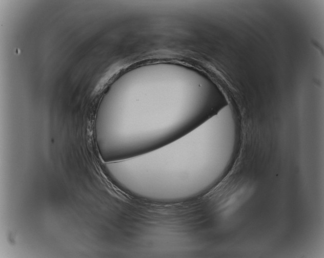 X0000100371355200806060752