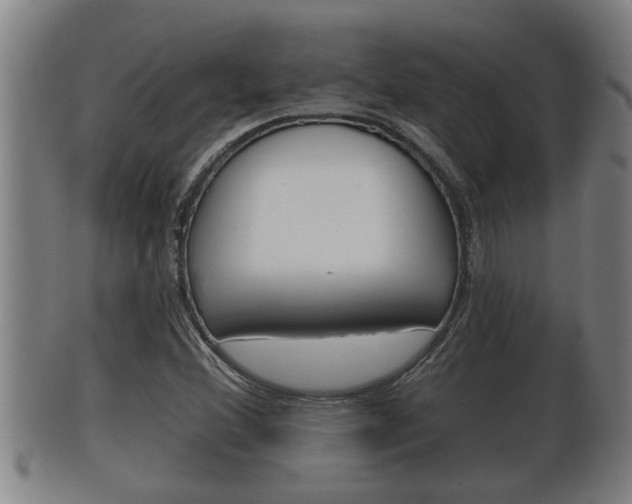 X0000100371356200806060752