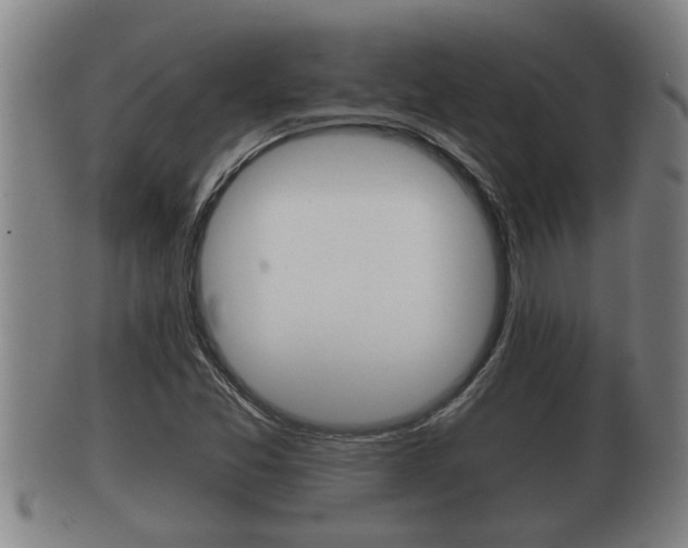 X0000100371357200806060752